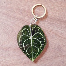 Load image into Gallery viewer, Keyrings | Anthurium
